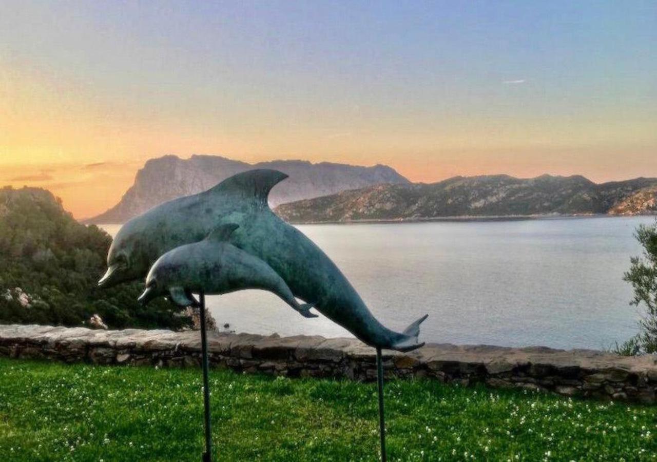 Апартаменты San Teodoro Punta Est Curatissimo Bilocale Капо-Кода-Кавальо Экстерьер фото