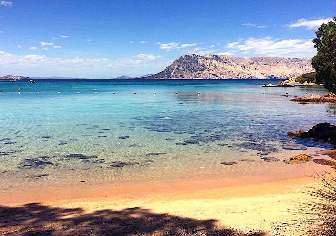 Апартаменты San Teodoro Punta Est Curatissimo Bilocale Капо-Кода-Кавальо Экстерьер фото