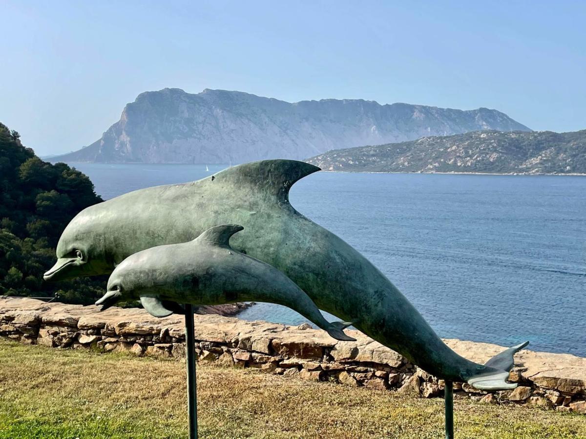Апартаменты San Teodoro Punta Est Curatissimo Bilocale Капо-Кода-Кавальо Экстерьер фото