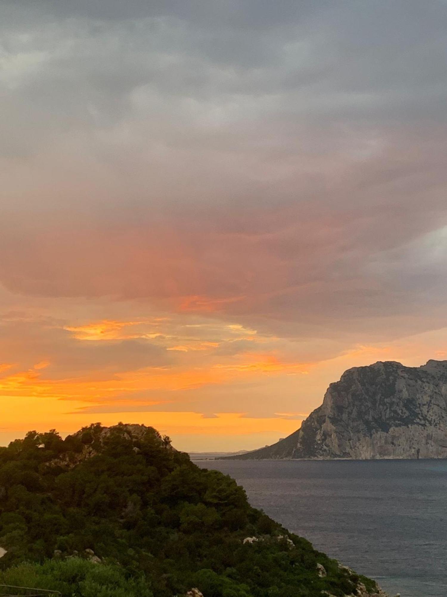 Апартаменты San Teodoro Punta Est Curatissimo Bilocale Капо-Кода-Кавальо Экстерьер фото